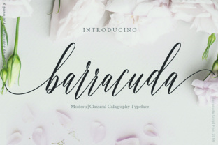 Barracuda Script: A Premium Typeface for Polished Branding