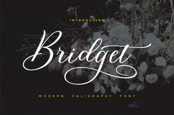 Bridget Script: A Typeface That Elevates Your Campaign Design