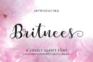 Britnees Script: A Feminine Font for Memorable Branding