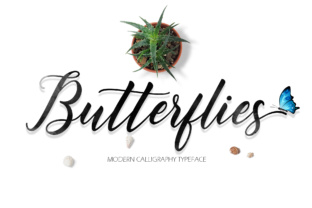 Butterflies Script: A Beautiful Typeface for Makers and Sellers