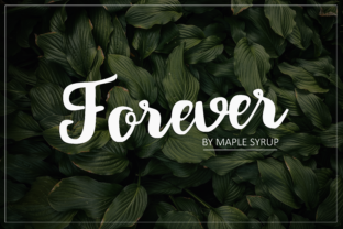 Forever Script: A Designer’s Honest Take