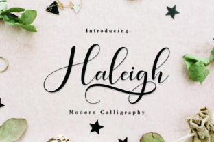 Haleigh Script: A Modern Calligraphy Typeface for Chic Branding Projects