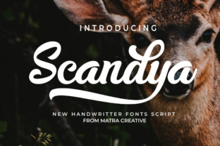 Scandya Script: A Handwritten Typeface for Craft Creators