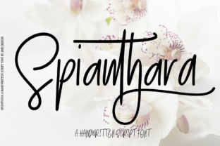 Spianthara Script: A Modern Typeface for Digital Elegance
